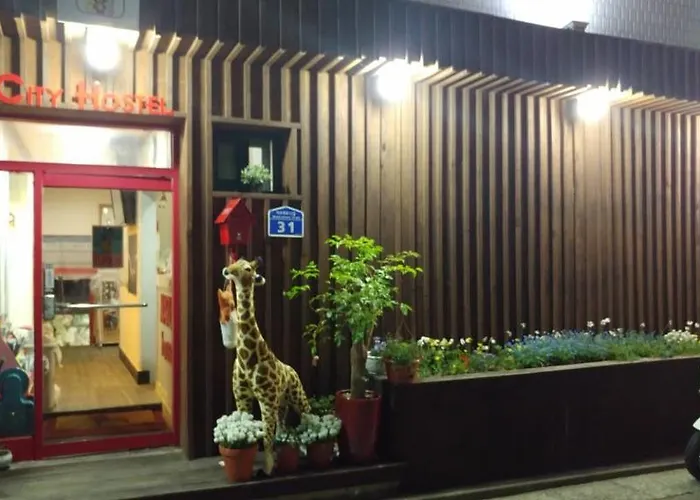 Naru Korea Hostel *